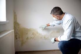 Why You Should Choose Our Mold Remediation Services in Ford City, CA